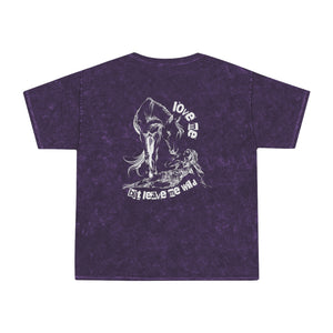 Wild, Free (with Horse and Woman) - Unisex Mineral Wash T-Shirt